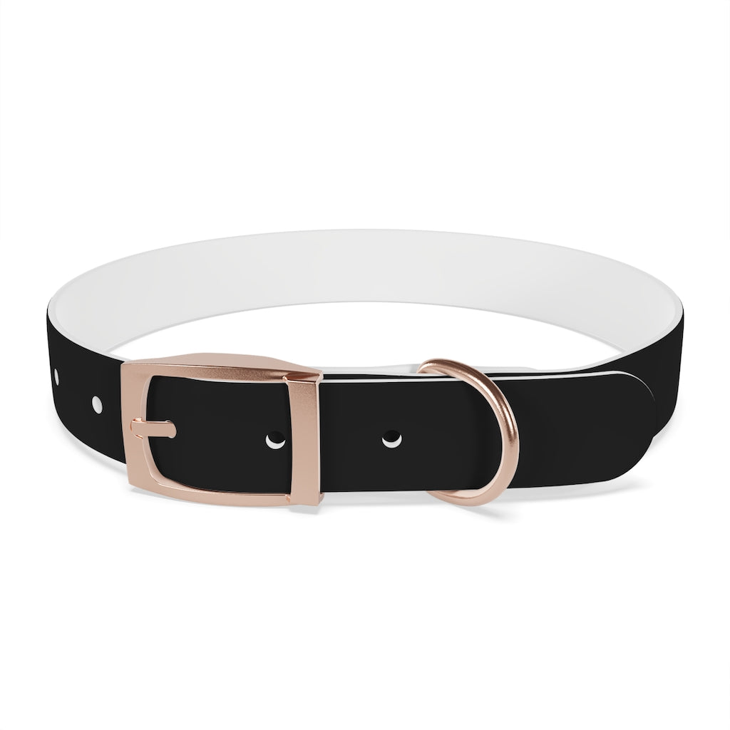 Dog Collar