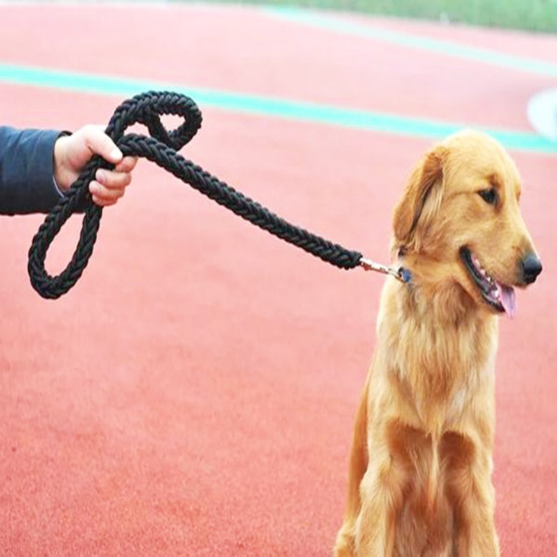 Strong Nylon Dog Leash