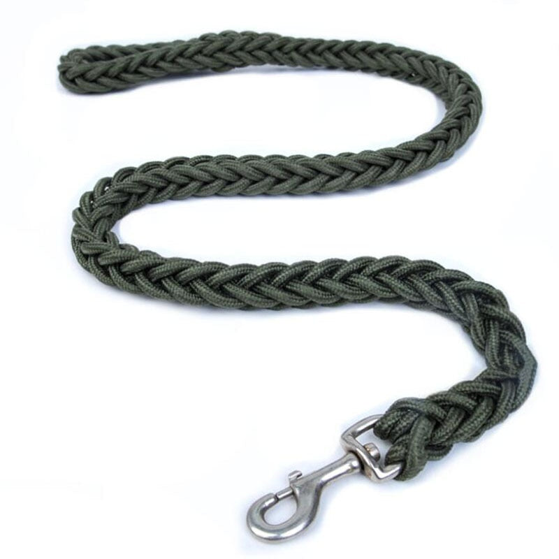 Strong Nylon Dog Leash